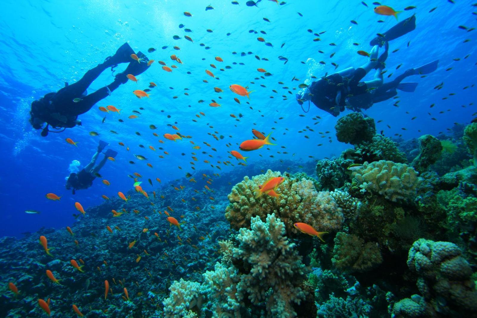 Dolphin Village Alankuda Dış mekan fotoğraf
